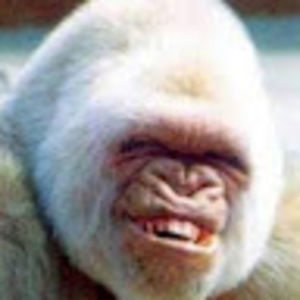 Meet your Posher, Boston